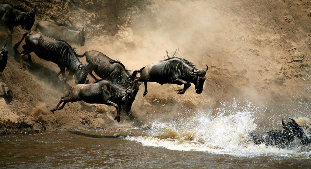 Masai Mara National Reserve