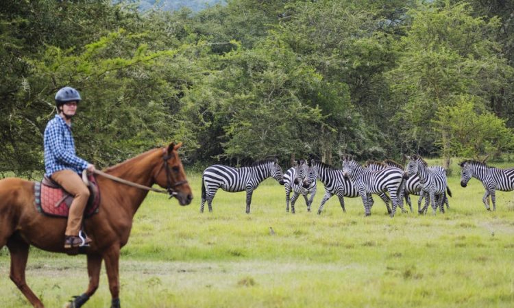 Lake Mburo National Park 