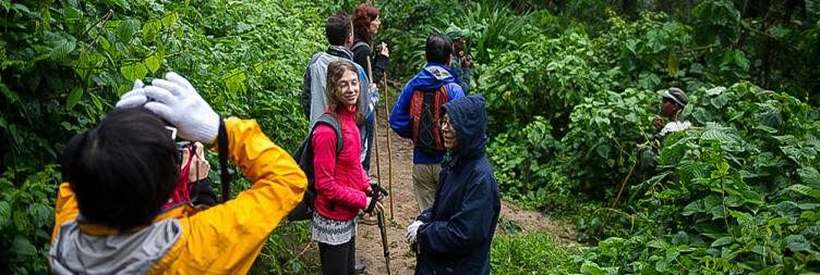 2-Day Nyungwe Forest Safari with Chimpanzee Trekking