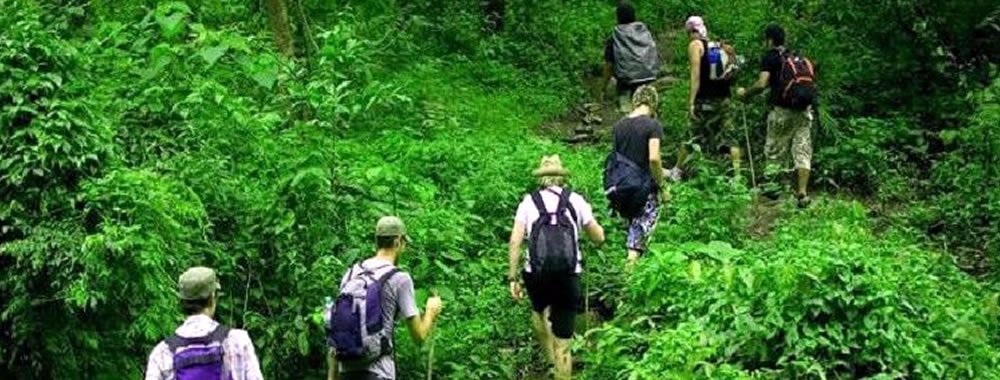 How to improve your Fitness for Gorilla Trekking ?