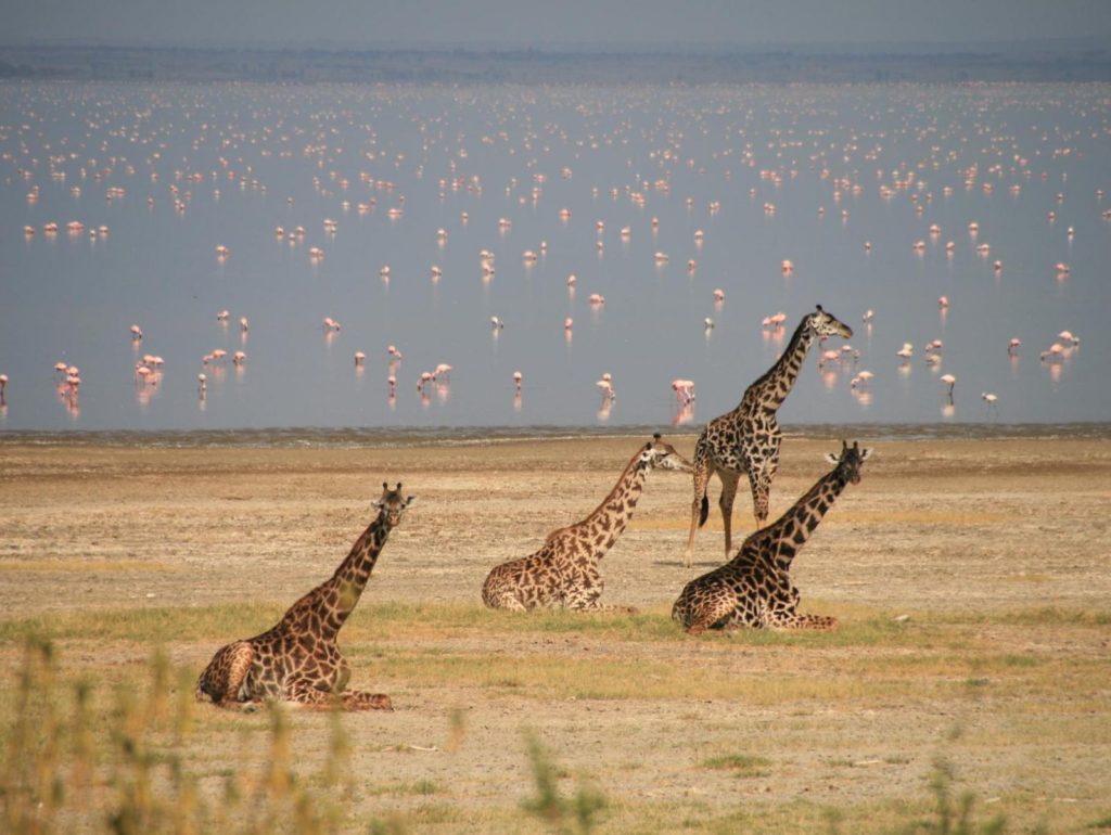 Lake Manyara National Park