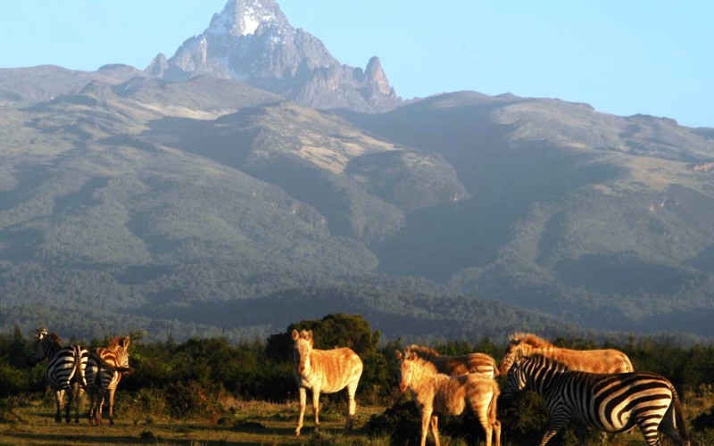 Mount Kenya National Park