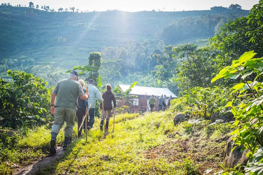 bwindi Hiking