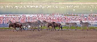 Lake Manyara National Park