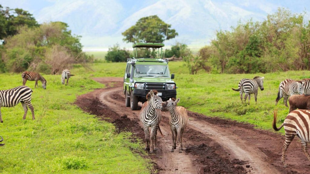 Mount Elgon National Park