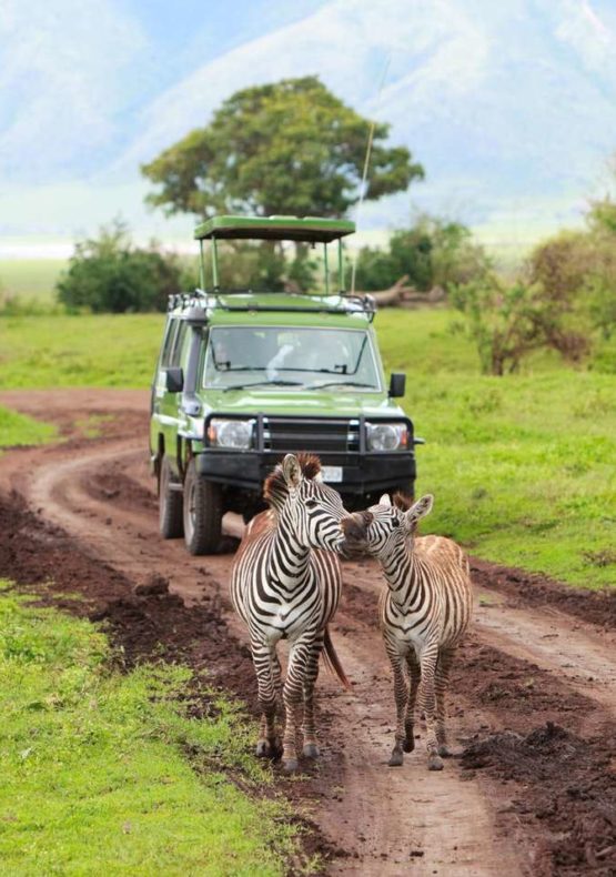 12-Day African Safari Tour in Rwanda & Uganda