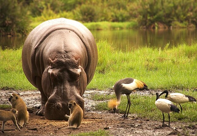 Tsavo National Reserve