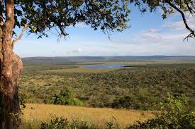 Lake Mburo National Park 