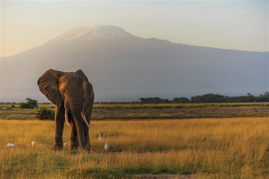 Mount Kilimanjaro National Park