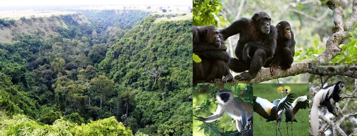 Queen Elizabeth National Park