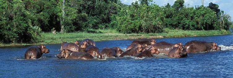 3-Days Queen Elizabeth Safari Tour