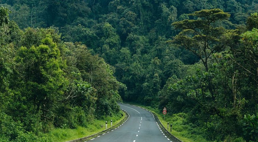 Nyungwe Forest National Park