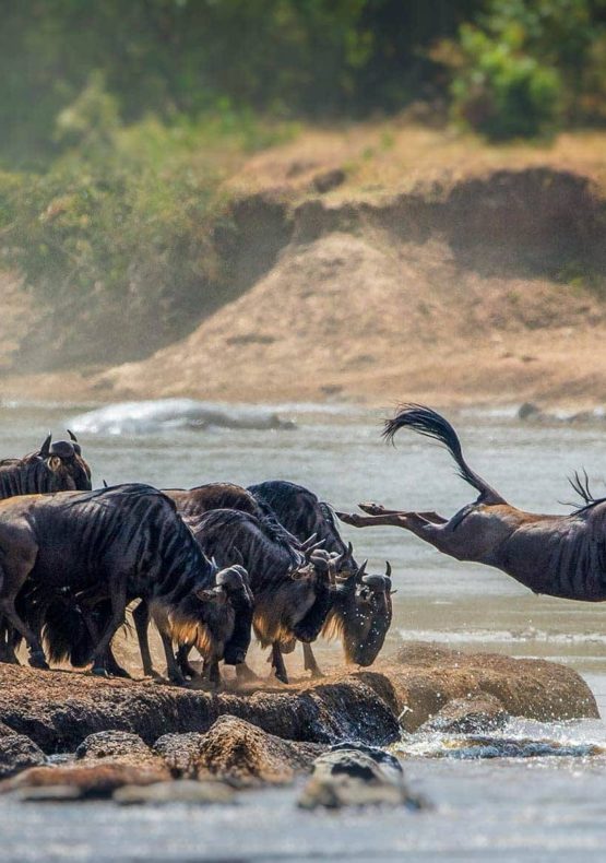 Serengeti National Park